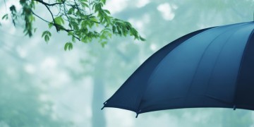 你陪我遮风挡雨出自哪首歌？