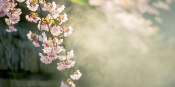 爱越深这句歌词出自哪首歌？