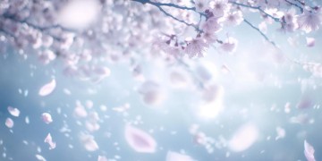 你从未拖过我后腿究竟是哪首歌？