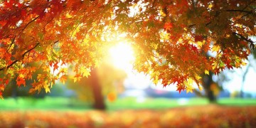 承包你的整个十月出自哪首歌？