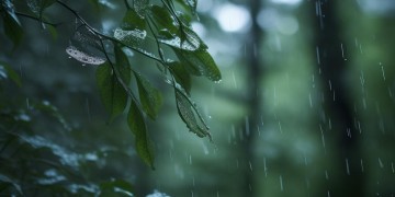 风雨传来细雨绵绵究竟是什么歌？