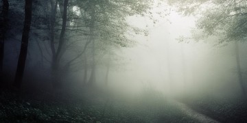 谎言就像雾一样究竟是哪首歌？