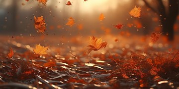 转眼就落一场空究竟是哪首歌？