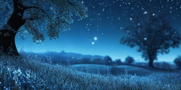 夜里的寂寞究竟是哪首歌？