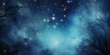 你说的是北斗星的爱吗？