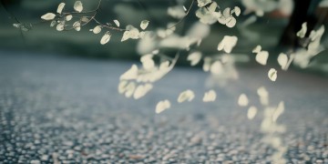 做人就要活的洒脱究竟是哪首歌？