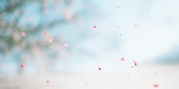没人陪你不要回头出自哪首歌？