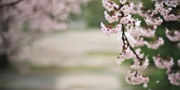 今年错过明年再来究竟是哪首歌？