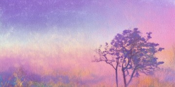 我们我们还会不会究竟是哪首歌？