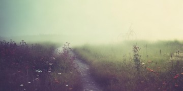 你离开我的速度出自哪首歌？