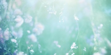 此生注定陪伴你出自哪首歌？