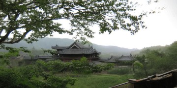 夏至未至里究竟都有什么歌？