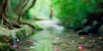 而我恰好遇到你出自哪首歌？