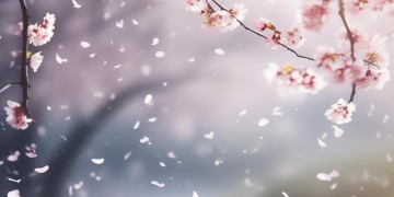 容颜易老这首歌是何时发行的呢？