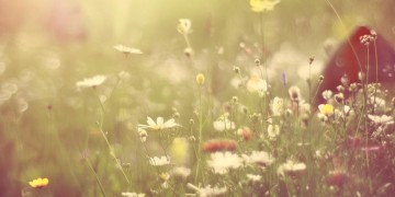 快乐是真的短暂出自哪首歌？