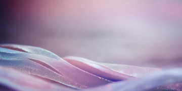 你总没人会代替出自哪首歌？