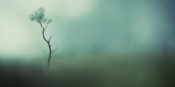 我在原地默默等你出自哪首歌？