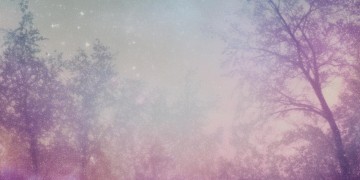 因为你是我的梦这句歌词出自哪首歌？