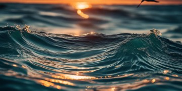 商海独眺伴海欧究竟出自哪首歌？