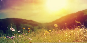 你的心中住着太阳究竟是哪首歌？