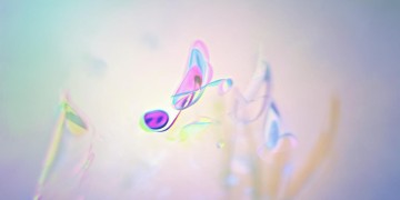 该播放什么歌呢？