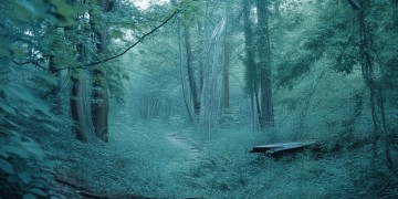 在世界角落等你究竟是什么歌？