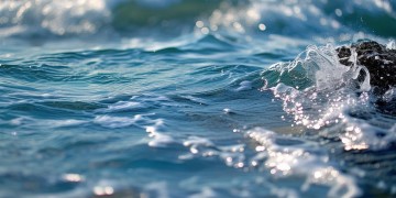 海默肖恩到底唱过什么歌？