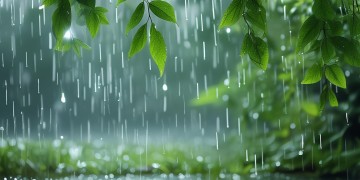 但翩翩雨渐渐出自哪首歌？