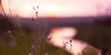 在你内心一片净土究竟是什么歌？