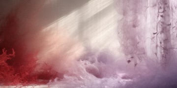 杜德伟情人究竟何时问世？