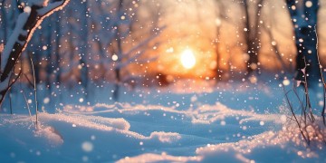 声声飘着雪出自哪首歌？