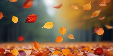 落叶的季节适合听什么歌？