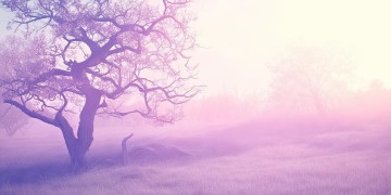 黎明是何时唱了那首变老的歌？