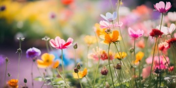 装作小姑娘好漂亮到底是什么歌？