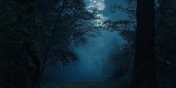 夜越黑我越清醒究竟是哪首歌？