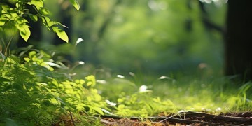 什么歌适合在背数学时听？