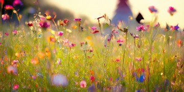 21岁的你要快乐出自哪首歌？