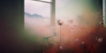 我希望五十岁以后是哪首歌？