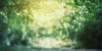 你善良我纠结这句歌词出自哪首歌？