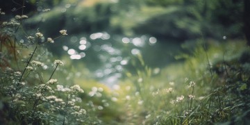 带悟字的歌曲有哪些呢？