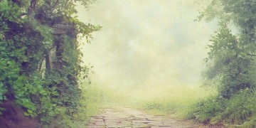 回到没有你的起点究竟是哪首歌？