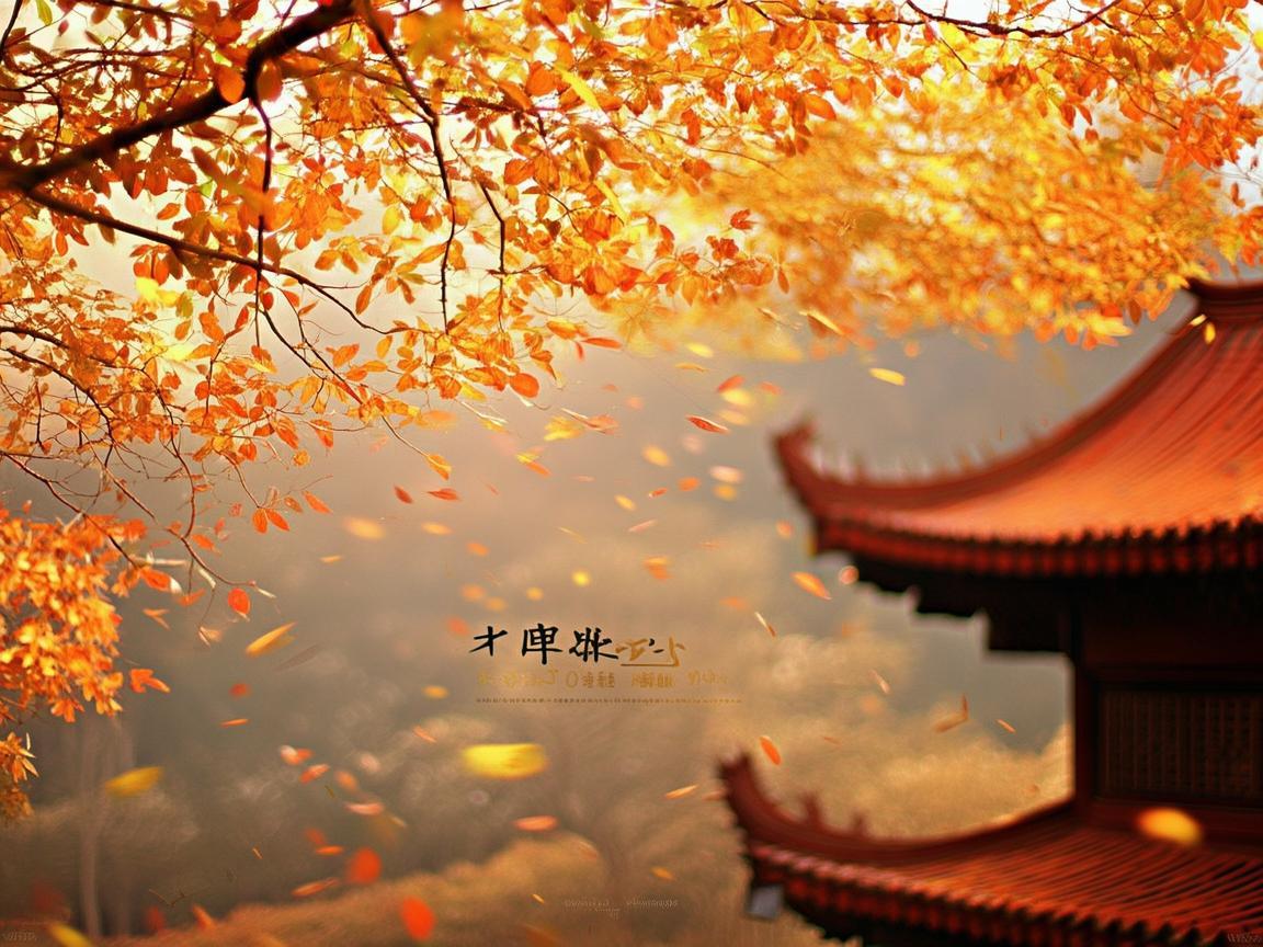 金风送喜来究竟出自哪首歌？