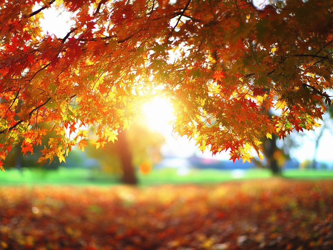 承包你的整个十月出自哪首歌? 承包你的整个十月出自哪首歌?